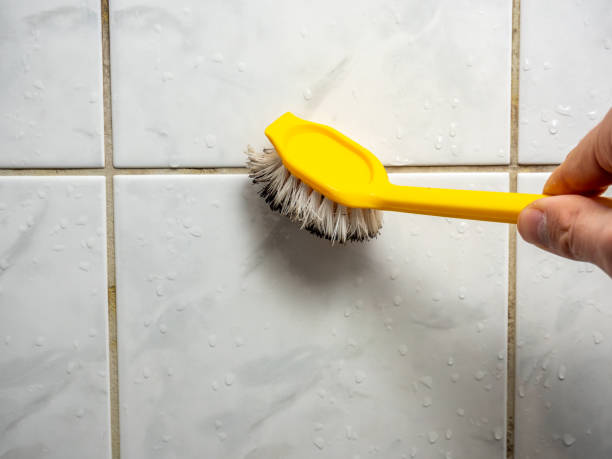 Best Localized Mold Remediation (e.g., coastal areas, humid climates) in Lake Tansi, TN