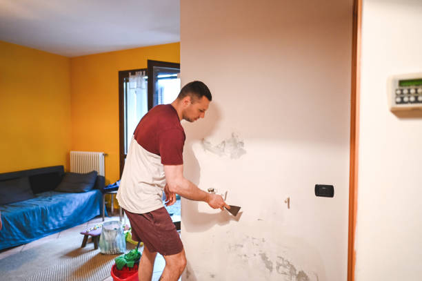 Best Residential Mold Remediation in Lake Tansi, TN